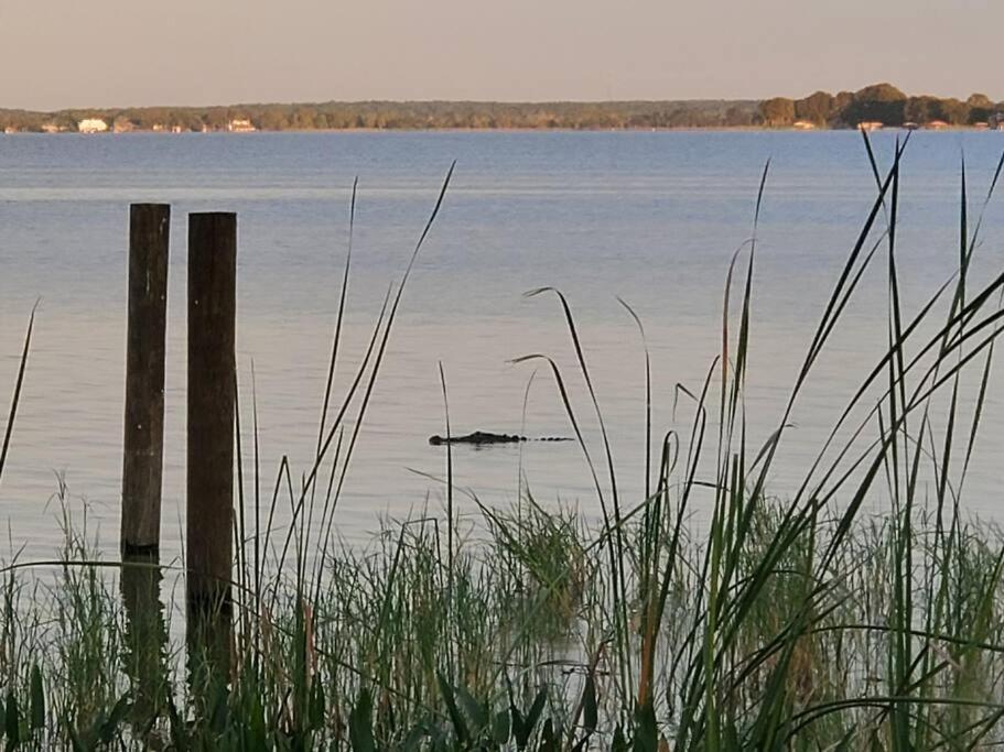 Camp St. Cabanas Unit 2 On Lake Dora Tavares Εξωτερικό φωτογραφία